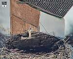 Capi_Dubne_20250901_071502.jpg