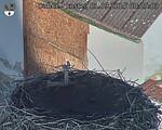 Capi_Dubne_20250901_082503.jpg