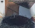 Capi_Dubne_20250901_084002.jpg
