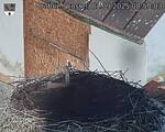 Capi_Dubne_20250901_085003.jpg
