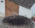 Capi_Dubne_20250901_090503.jpg