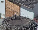 Capi_Dubne_20250901_140502.jpg