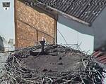 Capi_Dubne_20250901_142003.jpg