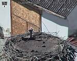 Capi_Dubne_20250901_143502.jpg