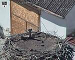 Capi_Dubne_20250901_144502.jpg