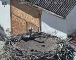 Capi_Dubne_20250901_153503.jpg