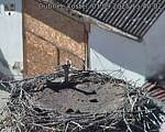 Capi_Dubne_20250901_154002.jpg