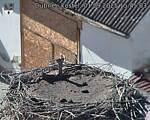 Capi_Dubne_20250901_154503.jpg