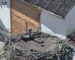 Capi_Dubne_20250901_155003.jpg