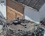 Capi_Dubne_20250901_155503.jpg