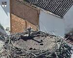 Capi_Dubne_20250901_160503.jpg