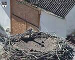 Capi_Dubne_20250901_161503.jpg