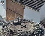 Capi_Dubne_20250901_162003.jpg