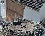Capi_Dubne_20250901_162503.jpg