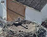 Capi_Dubne_20250901_163003.jpg
