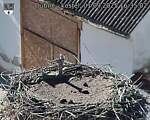 Capi_Dubne_20250901_163502.jpg