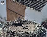 Capi_Dubne_20250901_164503.jpg