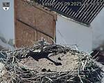 Capi_Dubne_20250901_165003.jpg