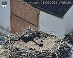 Capi_Dubne_20250901_170503.jpg