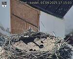 Capi_Dubne_20250901_171503.jpg