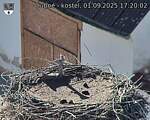 Capi_Dubne_20250901_172002.jpg