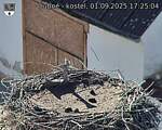 Capi_Dubne_20250901_172504.jpg