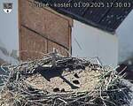 Capi_Dubne_20250901_173003.jpg