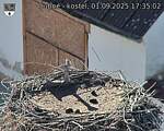 Capi_Dubne_20250901_173502.jpg