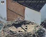 Capi_Dubne_20250901_174003.jpg