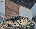 Capi_Dubne_20250901_175004.jpg