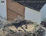 Capi_Dubne_20250901_180003.jpg