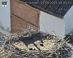 Capi_Dubne_20250901_180503.jpg
