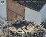 Capi_Dubne_20250901_181003.jpg