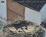 Capi_Dubne_20250901_181503.jpg