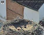 Capi_Dubne_20250901_182003.jpg
