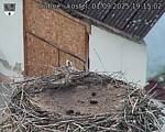 Capi_Dubne_20250901_191502.jpg