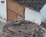 Capi_Dubne_20250901_192503.jpg