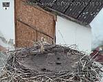 Capi_Dubne_20250901_193003.jpg