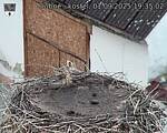Capi_Dubne_20250901_193502.jpg