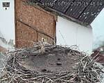 Capi_Dubne_20250901_194004.jpg