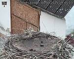 Capi_Dubne_20250901_194503.jpg