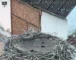 Capi_Dubne_20250901_195503.jpg