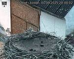 Capi_Dubne_20250901_200002.jpg