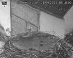 Capi_Dubne_20250901_201002.jpg