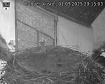 Capi_Dubne_20250901_201503.jpg