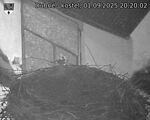 Capi_Dubne_20250901_202002.jpg