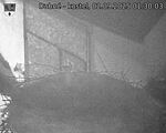 Capi_Dubne_20250902_013003.jpg