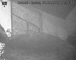 Capi_Dubne_20250902_013502.jpg
