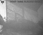 Capi_Dubne_20250902_032503.jpg
