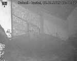 Capi_Dubne_20250902_034002.jpg